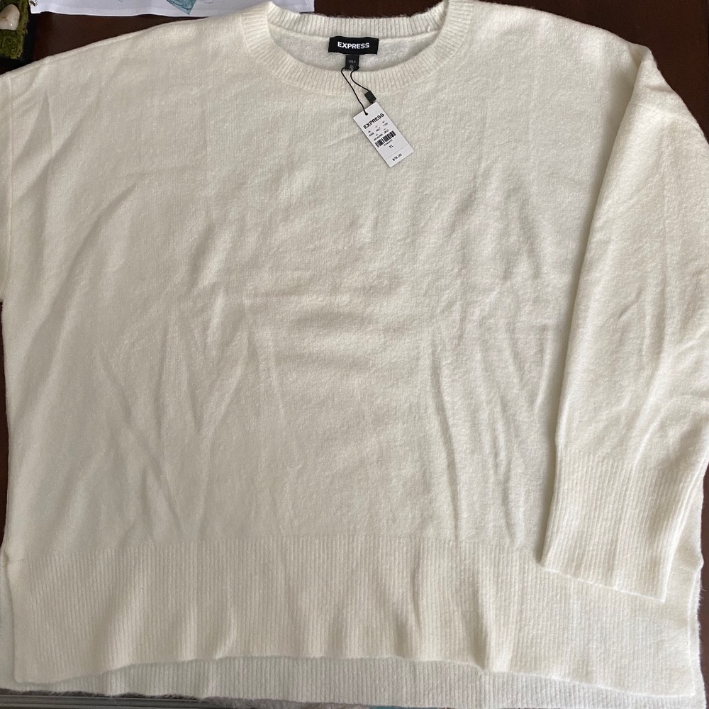 EXPRESS sweater
